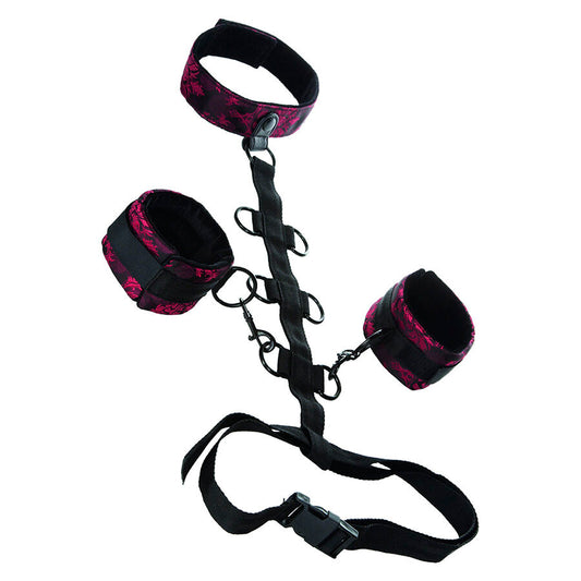 CALEXOTICS - SCANDAL COMPORAL SUPPORT MIT HALS