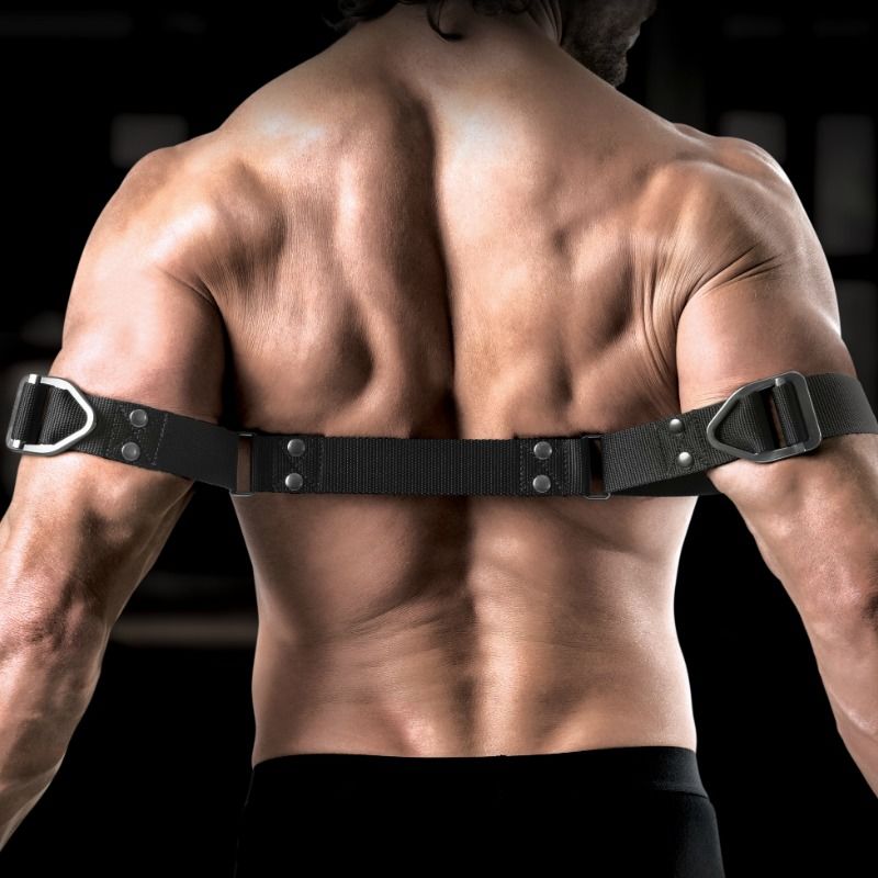 SIR RICHARDS - KOMMANDO-BIZEPS-BIEGER