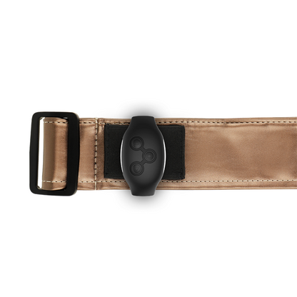 MYTHOLOGIE - FANTASIE-GESCHIRR - BRONZE-GESCHIRR L/XL