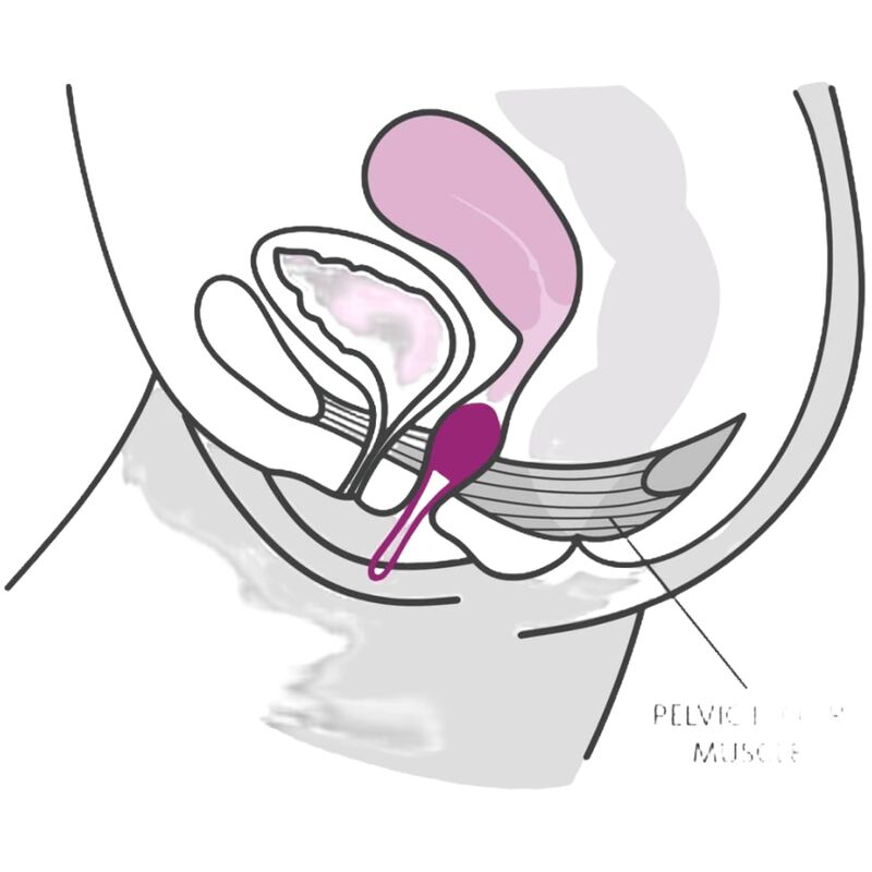 FUN FACTORY - SMARTBALL UNO BECKENBALL WEISS / GRÜN PISTAZIE