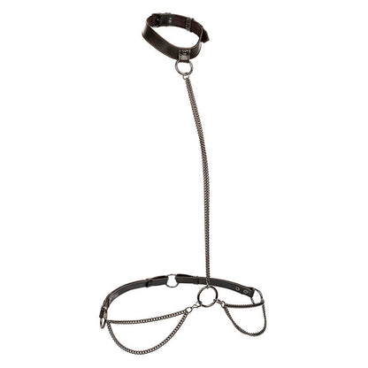 CALEXOTICS - EUPHORIA KETTEN-HALFTERHALSBAND &amp; LEINE ÜBERGRÖSSE