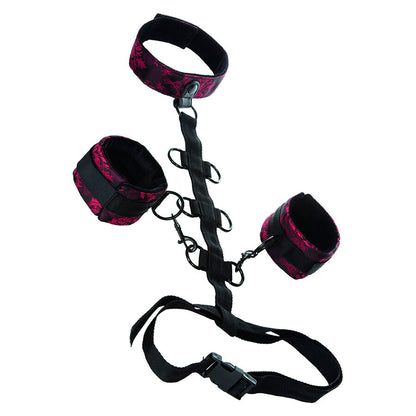 CALEXOTICS - SCANDAL COMPORAL SUPPORT MIT HALS