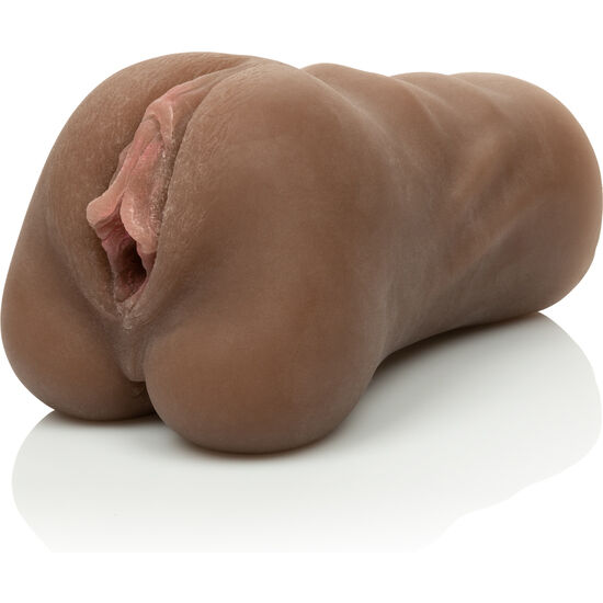 CALEXOTICS - STREICHEL ES, PUSSY-BRAUN